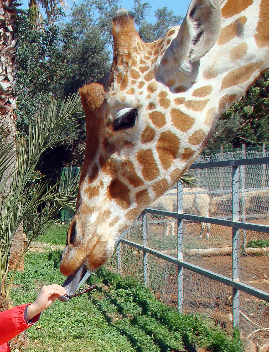 Pafos Zoo