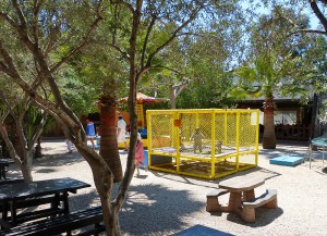 Верблюжий парк в Мазотосе, детская площадка