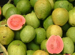 guavas in Cyprus