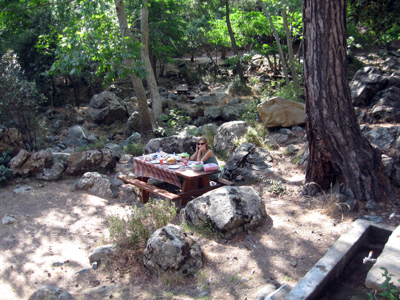 Пикник на Кипре. Тродос