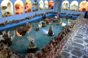 Морской музей Калимноса