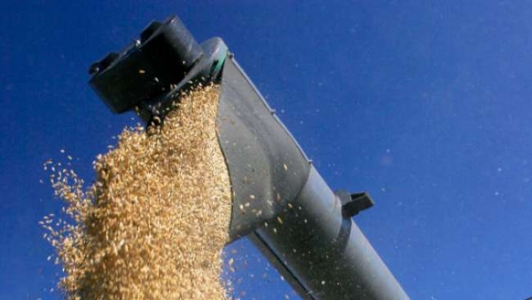 Правительство Кипра опровергает информацию о поставках зерна из Крыма
