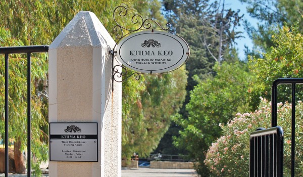 Ktima KEO: our visit to a truly traditional winemaker in Cyprus