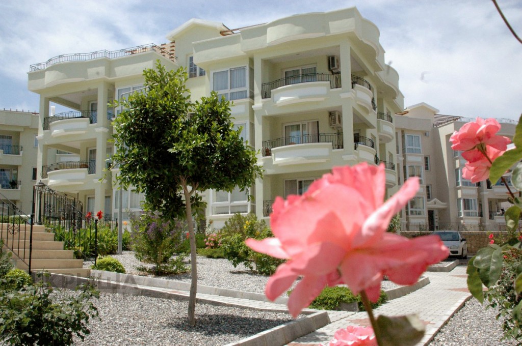 Апартаменты на Кипре