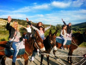 Golden Donkeys Farm