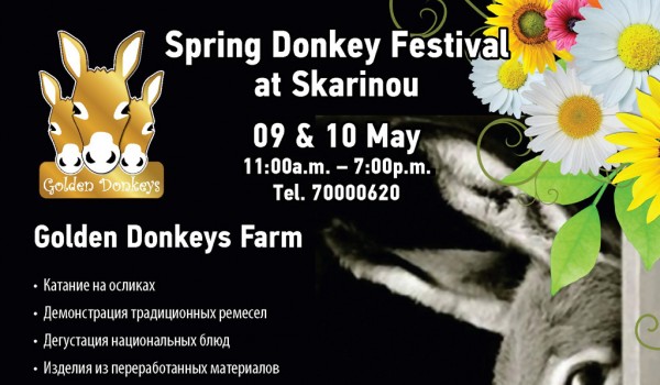 Весенний фестиваль на ослиной ферме в деревне Скарину