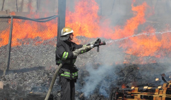 Пожар в Киевской области продолжается